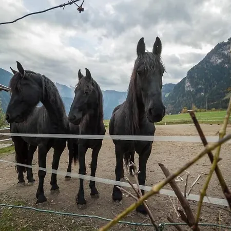 Adventure Hub: Gartenhaeusl Mayrhofen