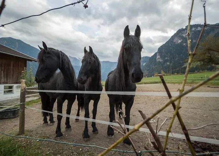 Adventure Hub: Gartenhaeusl Mayrhofen
